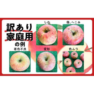 【訳あり品 家庭用】りんご「サンふじ」約10kg バラ詰め【S1959】