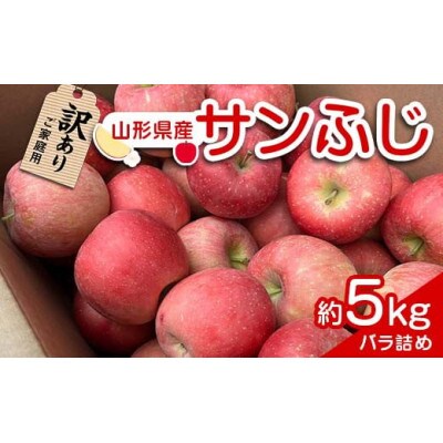 【訳あり品 家庭用】りんご「サンふじ」約5kg バラ詰め【S1958】