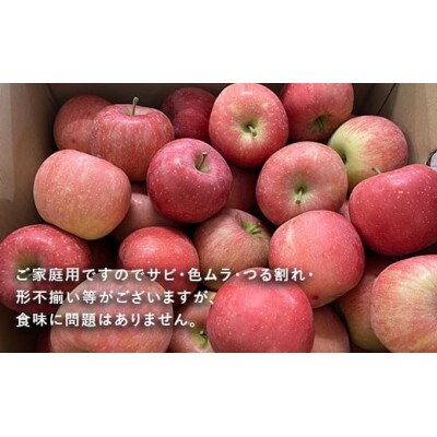【訳あり品 家庭用】りんご「サンふじ」約5kg バラ詰め【S1958】