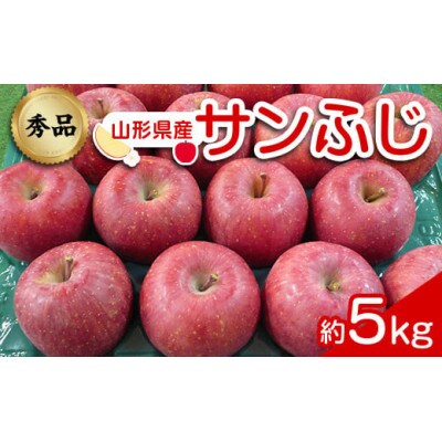 りんご「サンふじ」約5kg(12～23玉 秀品)【S1960】