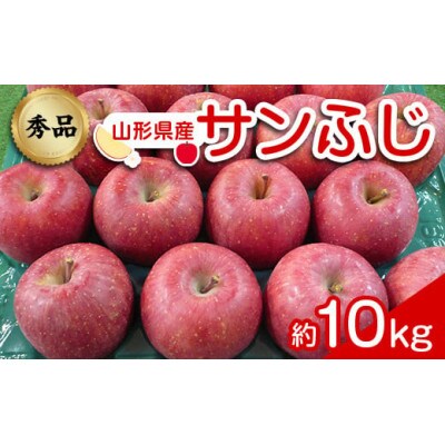 りんご「サンふじ」約10kg(24～46玉 秀品)【S1961】