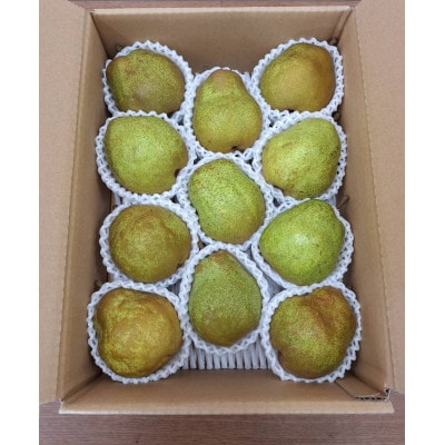 【令和7年産先行予約】 〈訳あり品 家庭用〉 ラ・フランス 約3kg (9～13玉)【S2274】