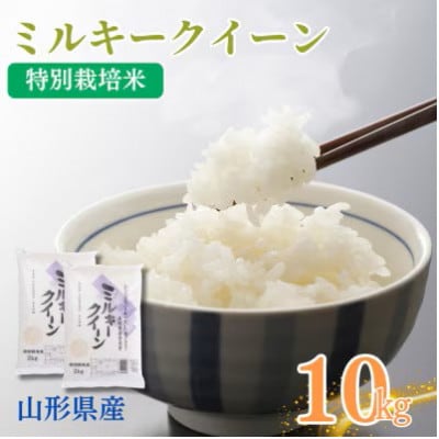 令和7年産　山形県産特別栽培米　ミルキークイーン5kg×2袋(精米)(10月下旬以降)【S2409】