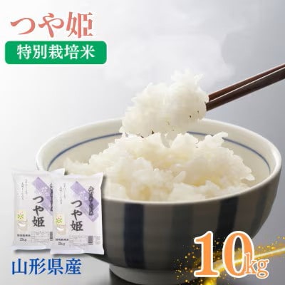 令和7年産　山形県産　特別栽培米　つや姫 5kg×2袋(精米)(10月下旬以降)【S2405】