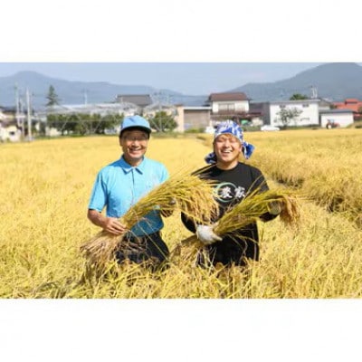 【令和8年産】山形県産　特別栽培米　ミルキークイーン精米5kg　10月下旬～順次発送【S1549】