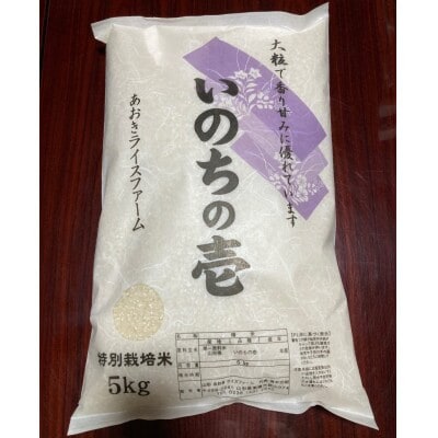 【令和8年産】山形県産　特別栽培米　いのちの壱　精米　5kg　11月上旬～順次発送【S1548】