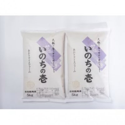 【令和8年産】山形県産　特別栽培米　いのちの壱　精米　10kg　11月上旬～順次発送【S2403】