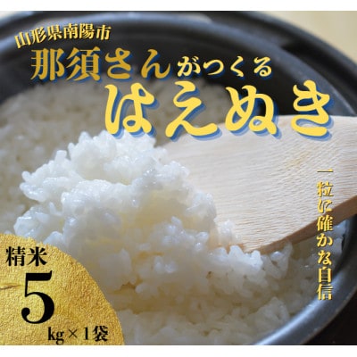 〈令和7年産〉 山形県産【はえぬき】精米 5kg(5kg×1袋)【S2563】