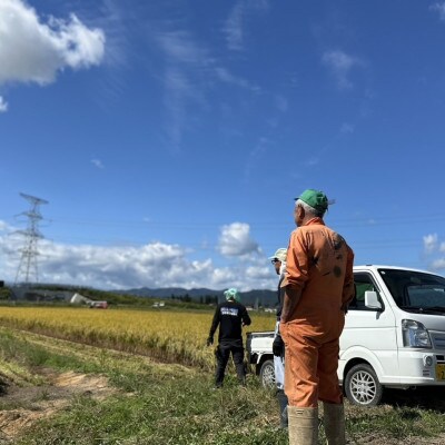 〈令和7年産〉 山形県産【はえぬき】精米 10kg(5kg×2袋)【S2564】