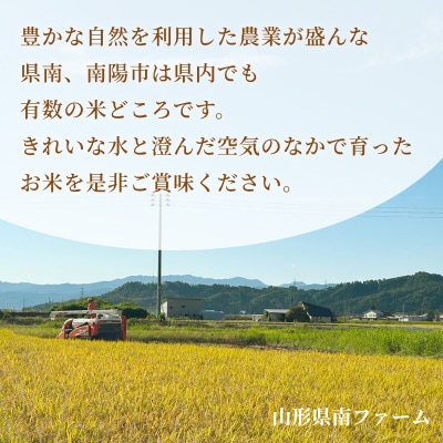 〈令和7年産〉 山形県産【はえぬき】精米 10kg(5kg×2袋)【S2564】