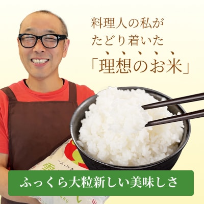 〈令和7年産〉 山形県産【雪若丸】精米 5kg(5kg×1袋)【S2566】