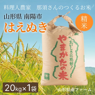【令和7年産】 山形県産【はえぬき】精米 20kg(20kg×1袋)【S2565】