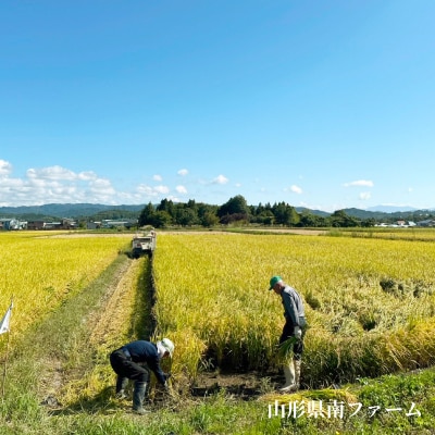 【令和7年産】 山形県産【はえぬき】精米 20kg(20kg×1袋)【S2565】