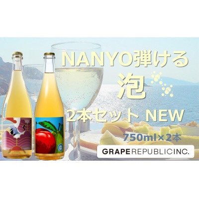 NEW NANYO弾ける泡セット 750ml×2本 『(株)グレープリパブリック』 【S2337】