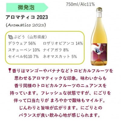 NEW NANYO弾ける泡セット 750ml×2本 『(株)グレープリパブリック』 【S2337】