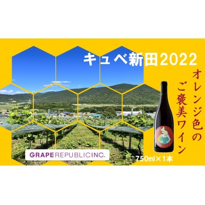 【数量限定】 オレンジワイン「キュベ新田2022」 750ml × 1本 ぶどう【S2361】