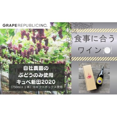 【自社農園のぶどうのみ使用】オレンジワイン「キュベ新田2020」 750ml ×1本 [S2705]
