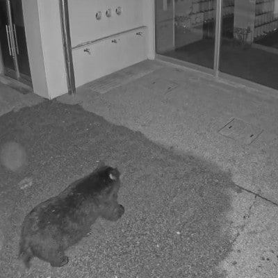 【返礼品なし】熊被害対策支援(山形県南陽市)《1口2,000円》