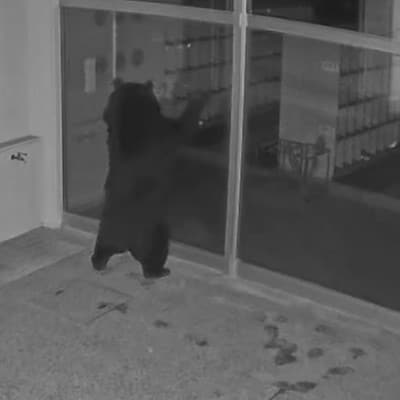 【返礼品なし】熊被害対策支援(山形県南陽市)《1口2,000円》