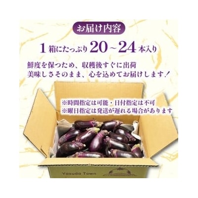 安田町産ぷりぷり新鮮ナス(20～24本)
