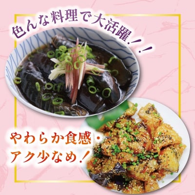 安田町産ぷりぷり新鮮ナス(20～24本)