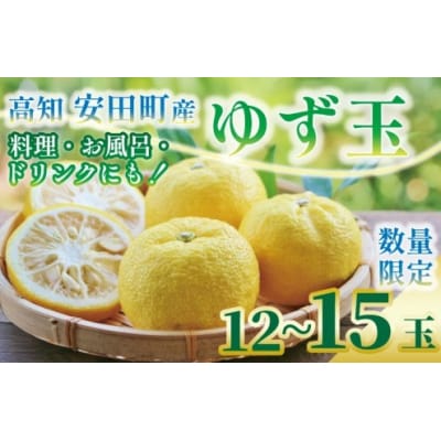 ゆず玉(安田町産)柚子　12～15玉