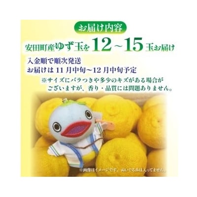 ゆず玉(安田町産)柚子　12～15玉