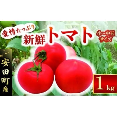 もぎたてトマト　1kg　レシピ付き