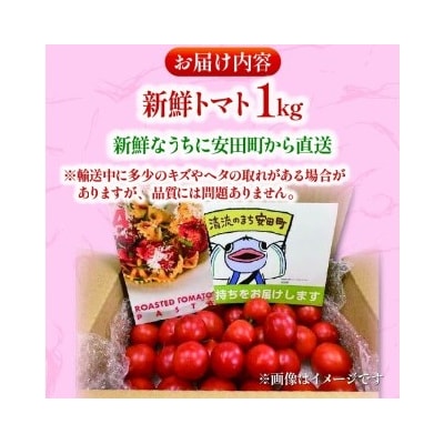 もぎたてトマト　1kg　レシピ付き