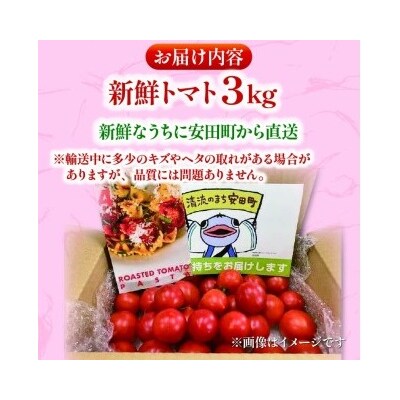 もぎたてトマト　3kg　レシピ付き