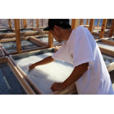 安田町産トマト1kgと田野屋紫蘭の完全天日塩