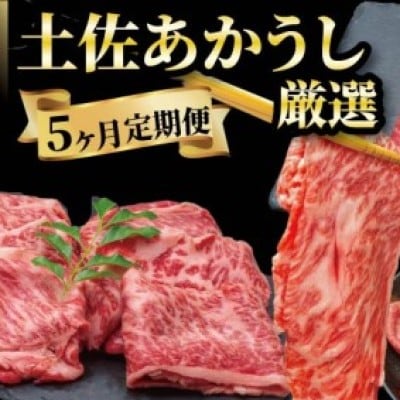 希少 土佐あかうし 定期便 5回