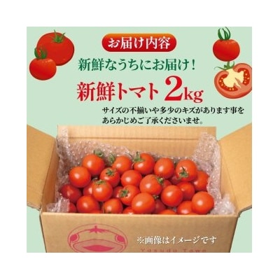 安田町産トマト2kg