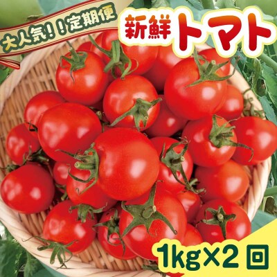 トマト1kg×2回