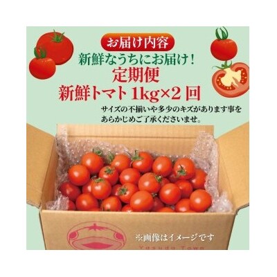 トマト1kg×2回
