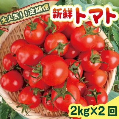 トマト2kg×2回