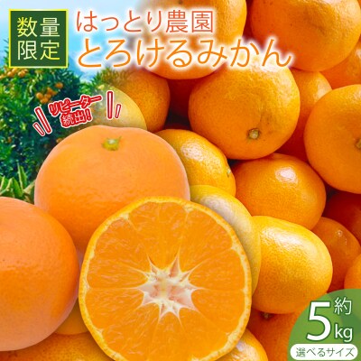 服部農園　とろけるみかん:興津早生　5kg(Mサイズ)