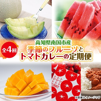 【発送月固定定期便】季節のフルーツ(マンゴー・メロン・スイカ)とトマトカレー　全4回