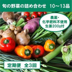 【毎月定期便】旬の野菜と栽培期間中農薬不使用の生姜200g 全3回