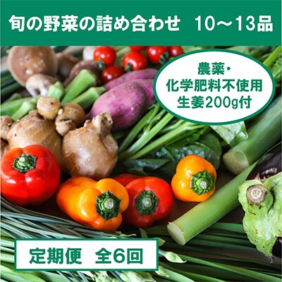 【毎月定期便】旬の野菜と栽培期間中農薬不使用の生姜200g 全6回