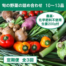 2023年4月発送開始『定期便』旬の野菜と栽培期間中農薬不使用の生姜200g 全3回