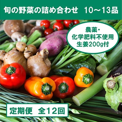 2023年8月発送開始『定期便』旬の野菜と栽培期間中農薬不使用の生姜200g 全12回