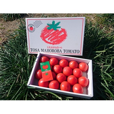 【産地直送新鮮野菜】高知県産ブランドトマト「土佐まほろばトマト」フルーツトマトセット1.5～2kg