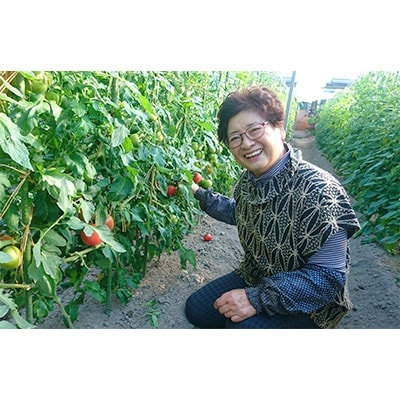 【産地直送新鮮野菜】高知県産ブランドトマト「土佐まほろばトマト」フルーツトマトセット1.5～2kg