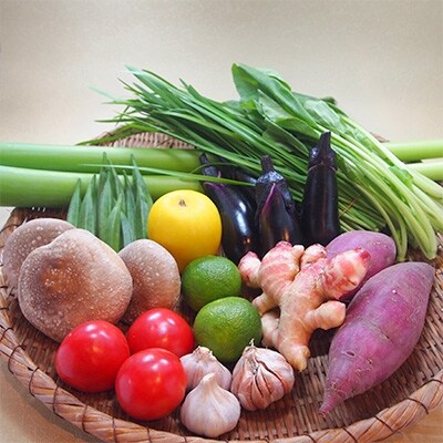 2020年4月発送開始『定期便』【産地直送新鮮野菜】高知県産南国土佐季節の野菜詰合わせセット全4回