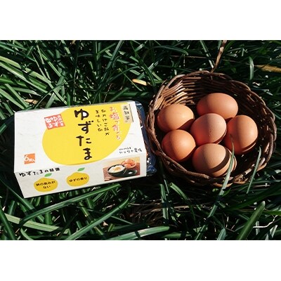 2021年6月発送開始『定期便』【新鮮野菜セット卵付き】高知県南国の季節野菜詰め合わせ全6回