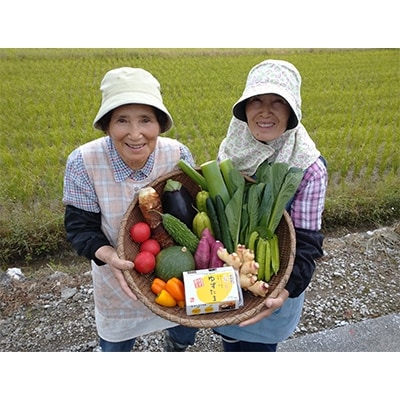 2022年11月発送開始『定期便』【新鮮野菜セット卵付き】高知県南国の季節野菜詰合わせセット全12回