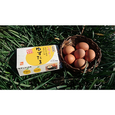 2023年6月発送開始『定期便』【新鮮野菜定期便卵付き】高知県南国の季節野菜詰め合わせ全6回