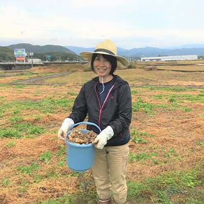高知県南国市産 菊芋粉末(100g×1袋)
