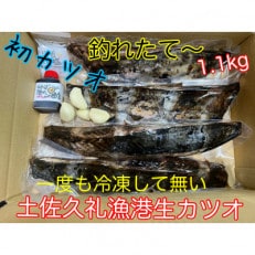 捕れすぎ 生鰹1.1kg | ふるさと納税のお礼品